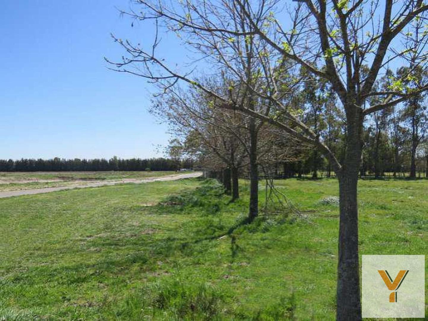 Terreno en Venta en Santa Inés, USD 23.000