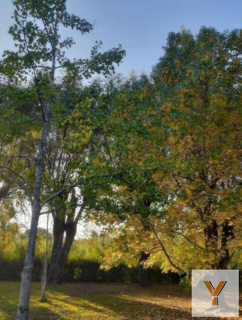 Terreno en Venta 27  mts Fondo