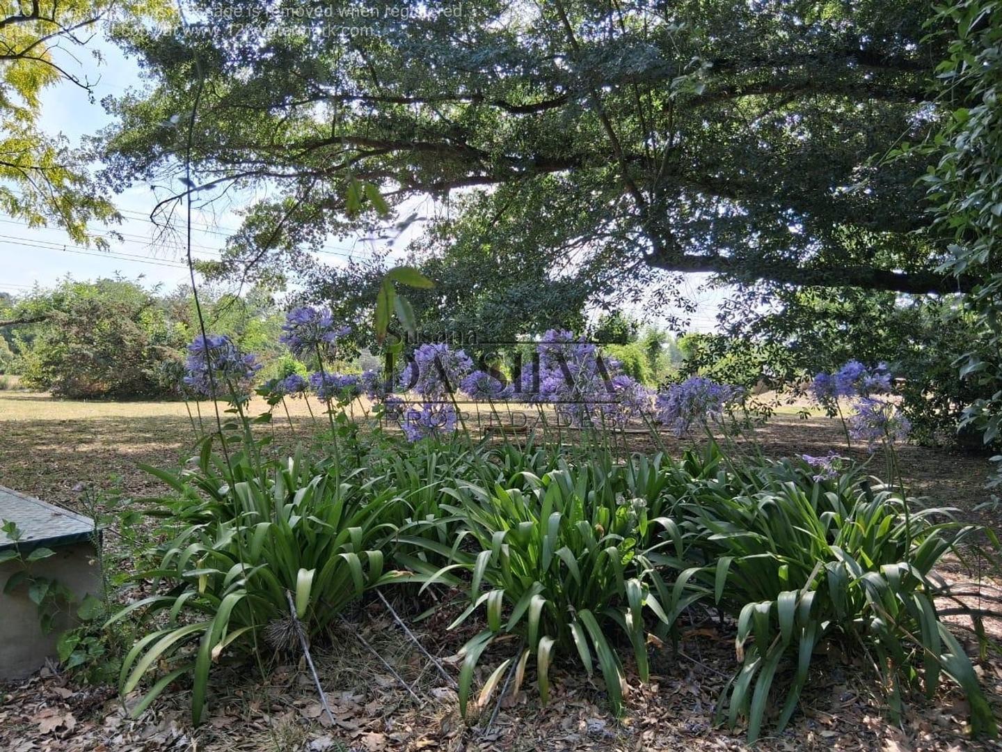 Terreno en Venta en El Moro, USD 70.000