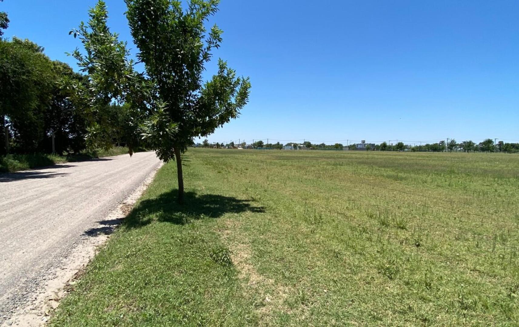 Terreno en Venta en Terranostra, USD 48.000