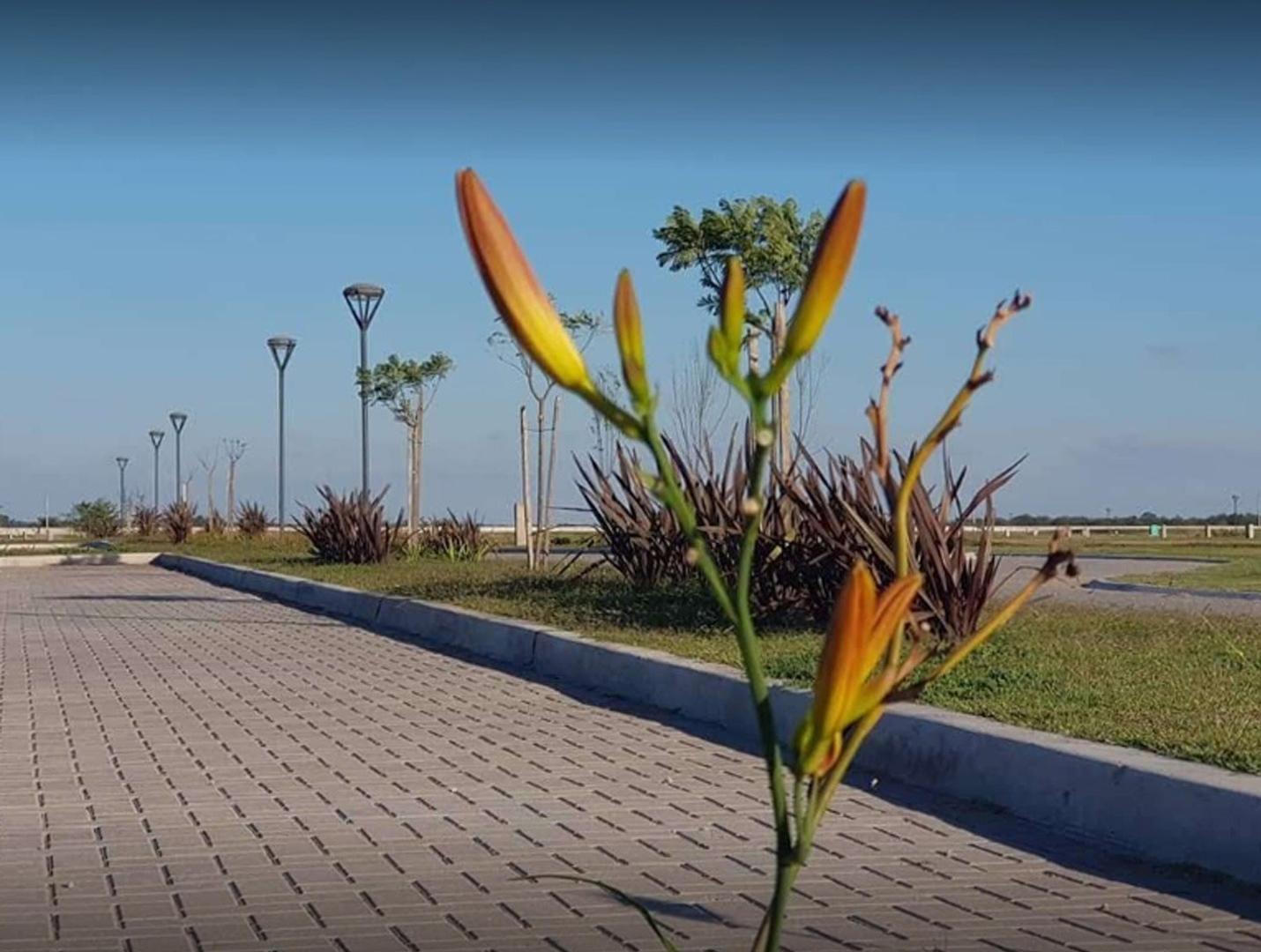 Lote Terreno venta Santa Clara Al Sur Canning