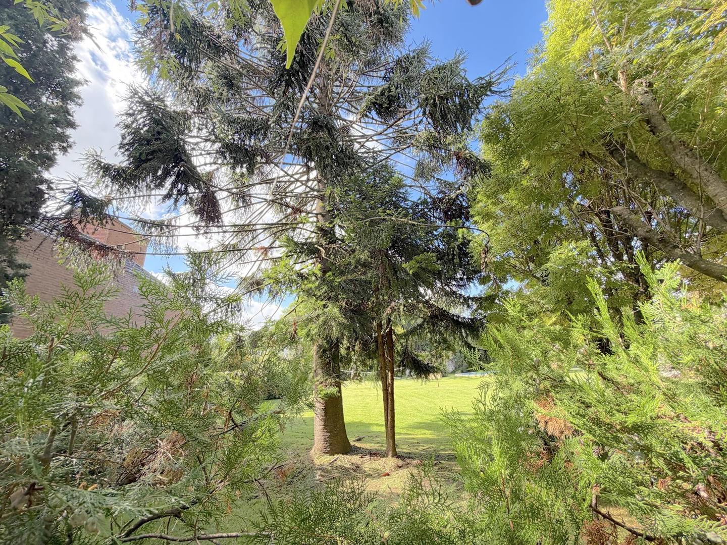 Excelente Terreno en venta en City Bell entre caminos