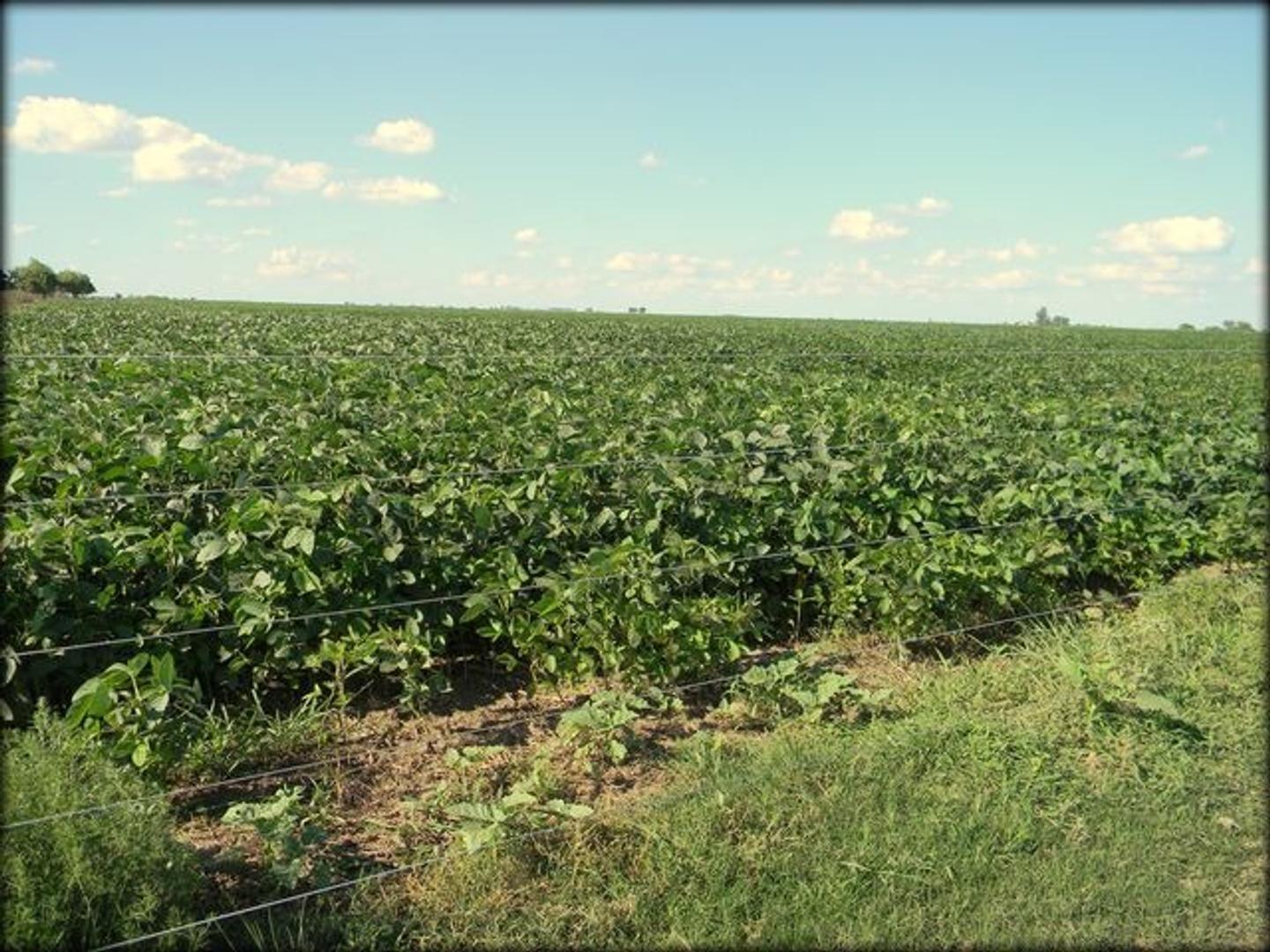 Zona Rural