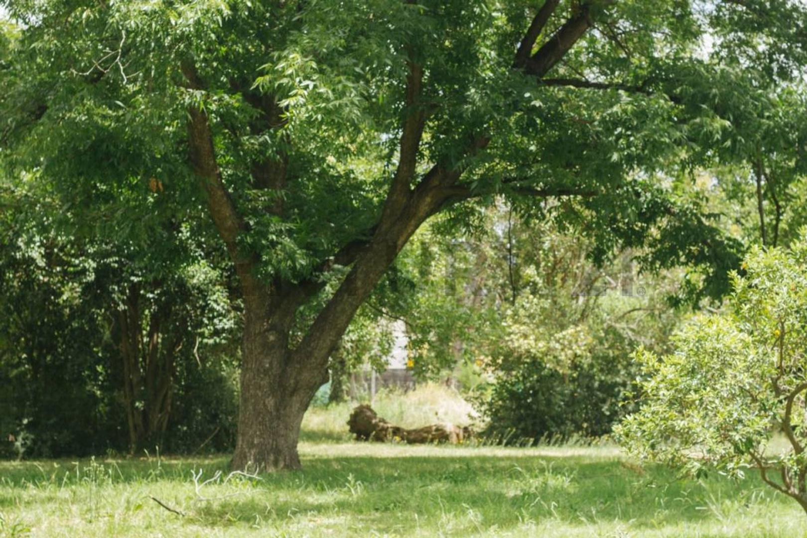 45 HIP PARK PILAR .Departamento 3 ambientes. Terraza. Vistas. Amenities Cochera