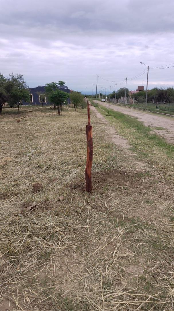 Terreno en Venta de 1170,0 m2