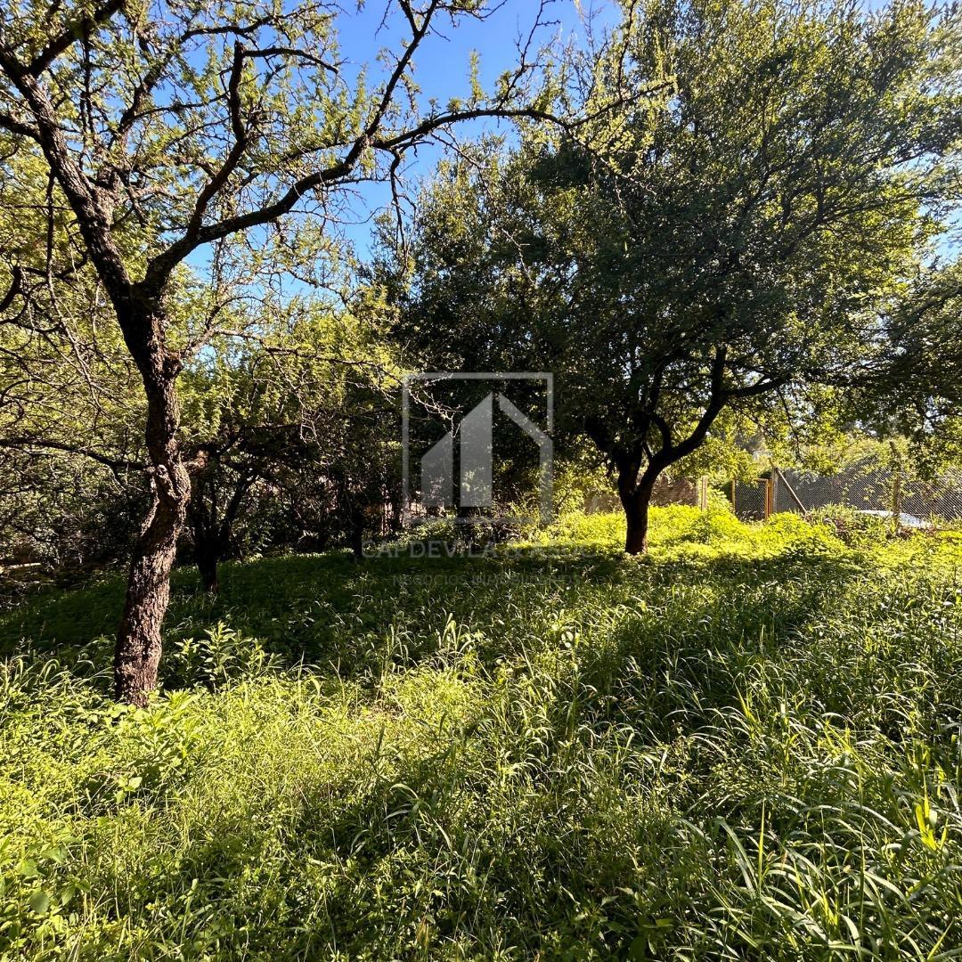 Terreno en Venta en Villa Allende Golf, USD 120.000