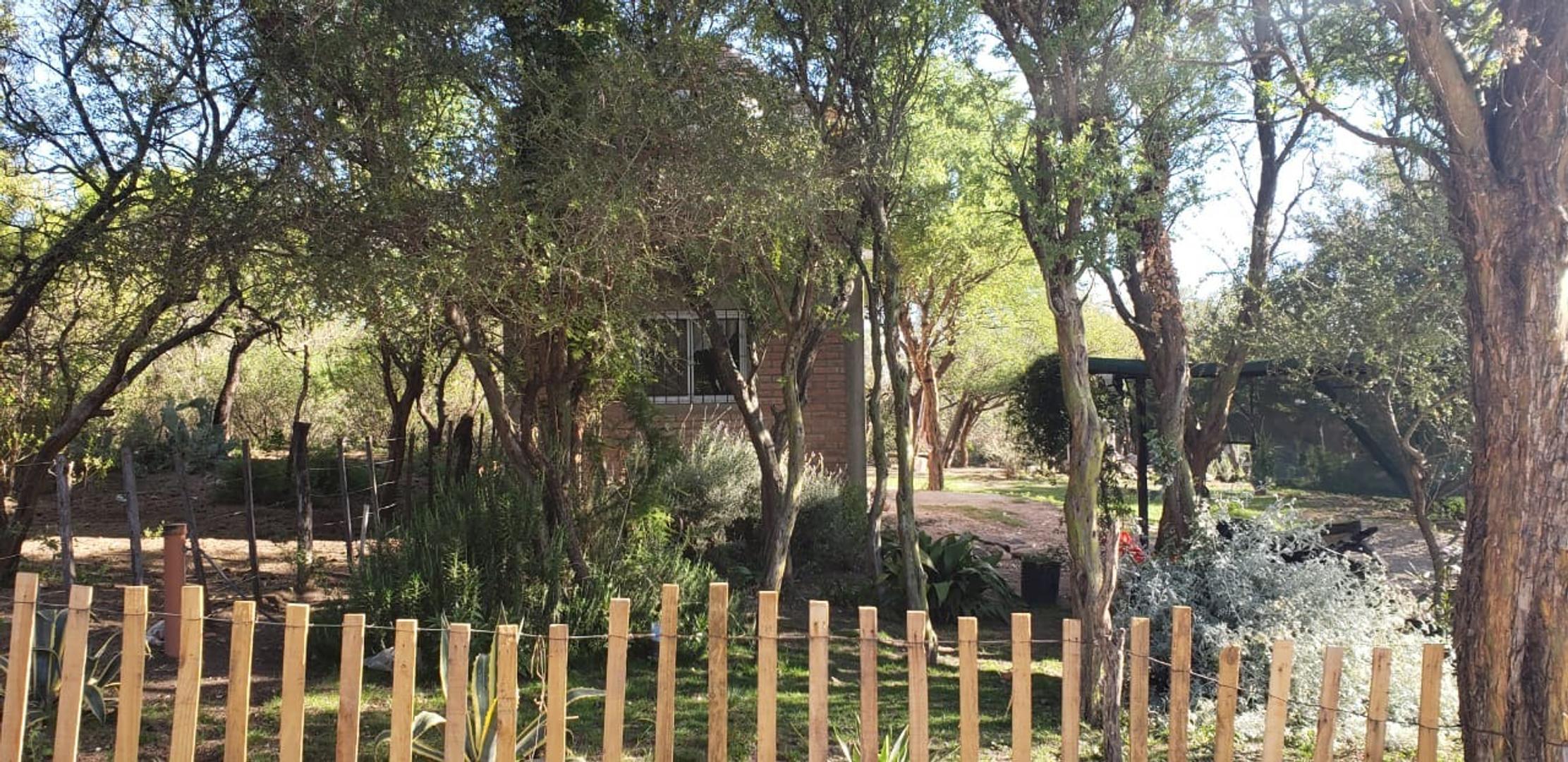 Publica S/n ( Cruz De Caña)