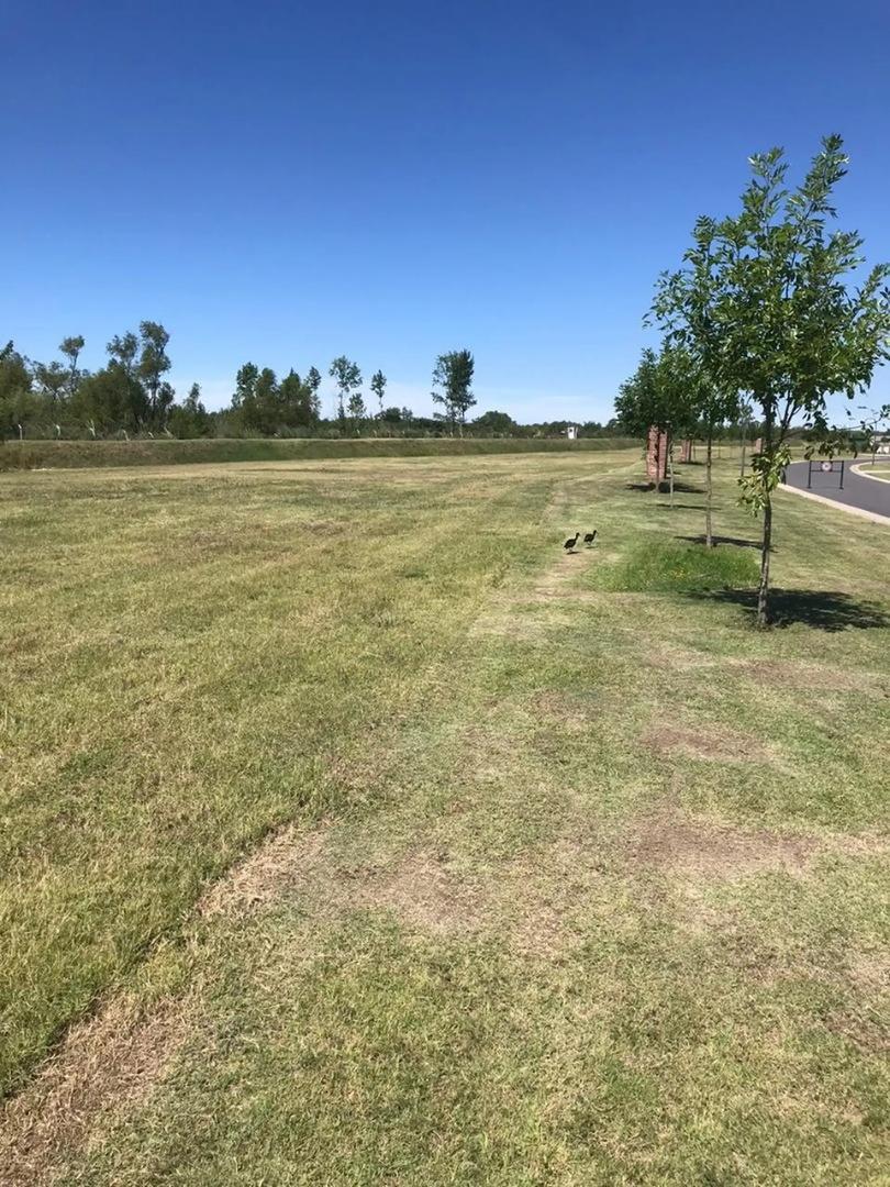 Lote El Naudir Cod: 10951