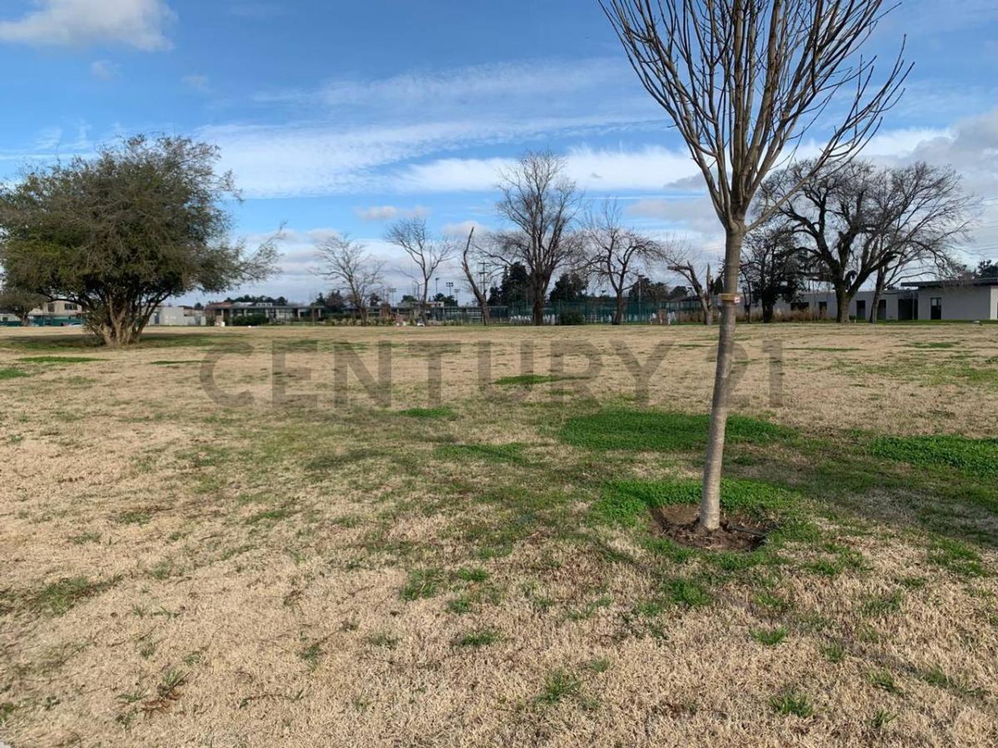 Manuel de Oliden 8900, Piso 0