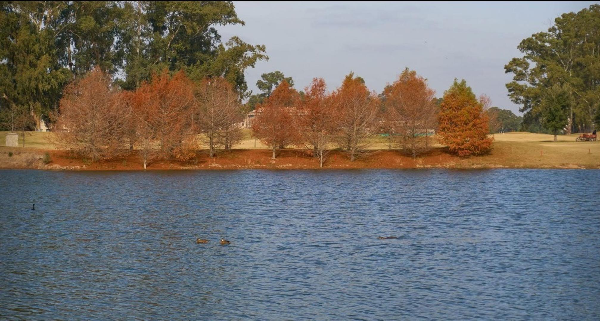 Terreno en Venta de 858,0 m2