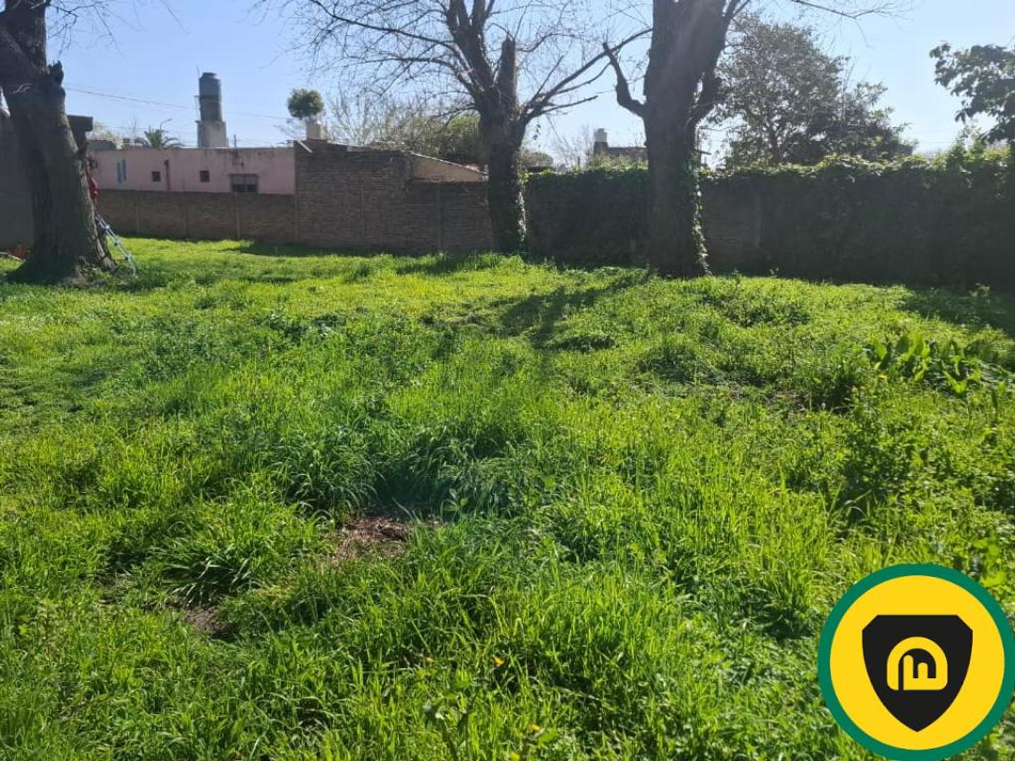 RUDENCINDO ALVARADO  al 2900