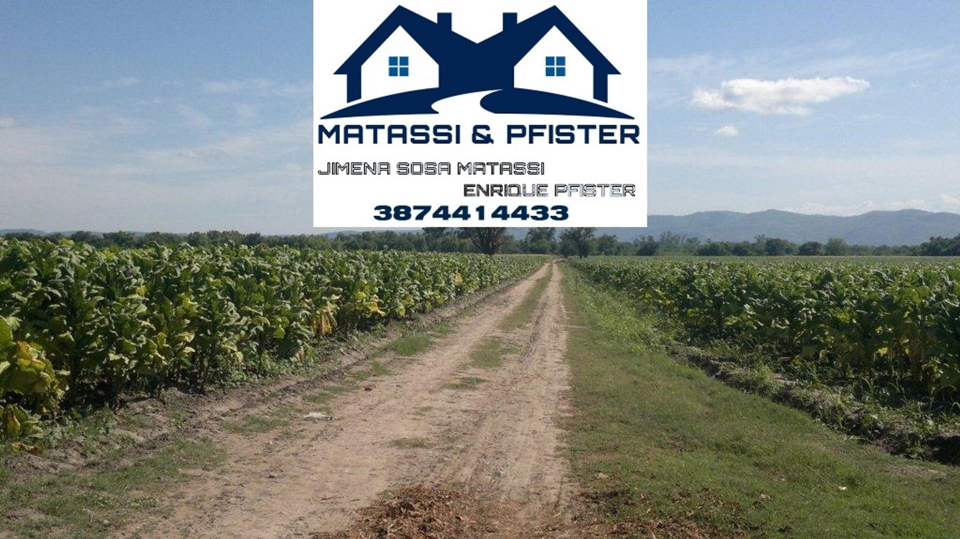 Ruta 34 Pampa Blanca Jujuy