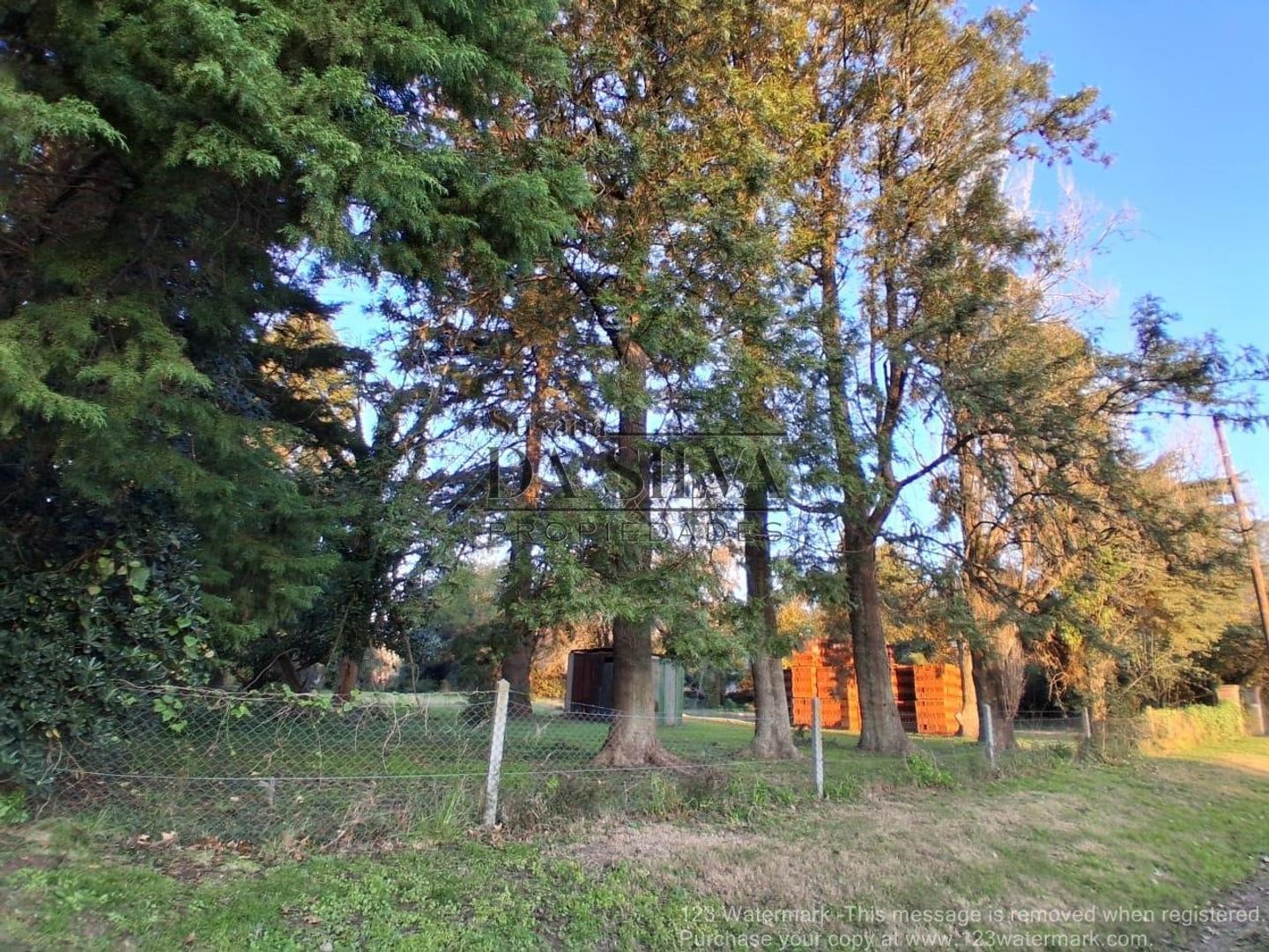 Anteproyecto El Moro