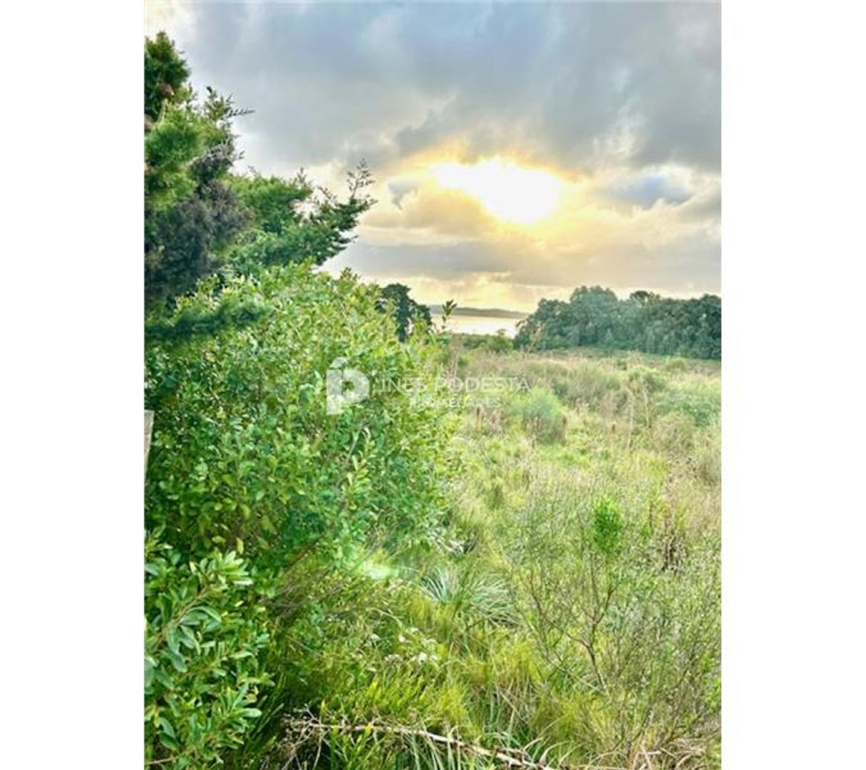 PROPIEDADES RURALES - CHACRA - PUNTA BALLENA