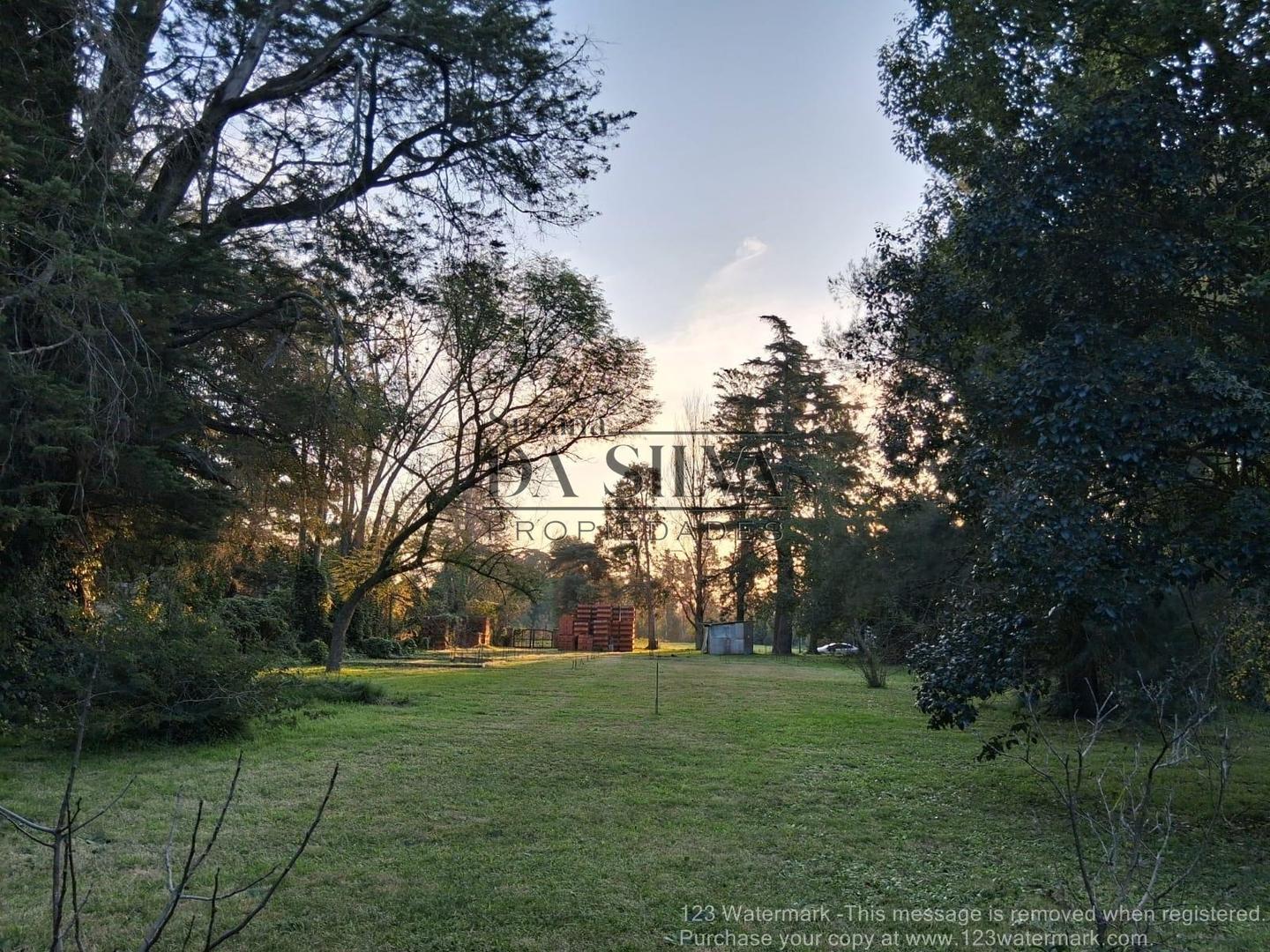 Terreno Forestado + Anteproyecto + Bases en C.C EL MORO