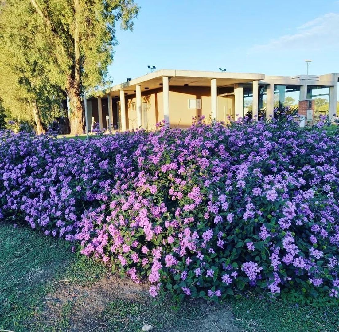 Terreno en Venta de 540,0 m2