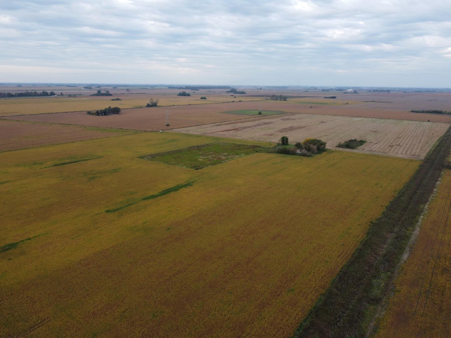 Campo 100 % agricola