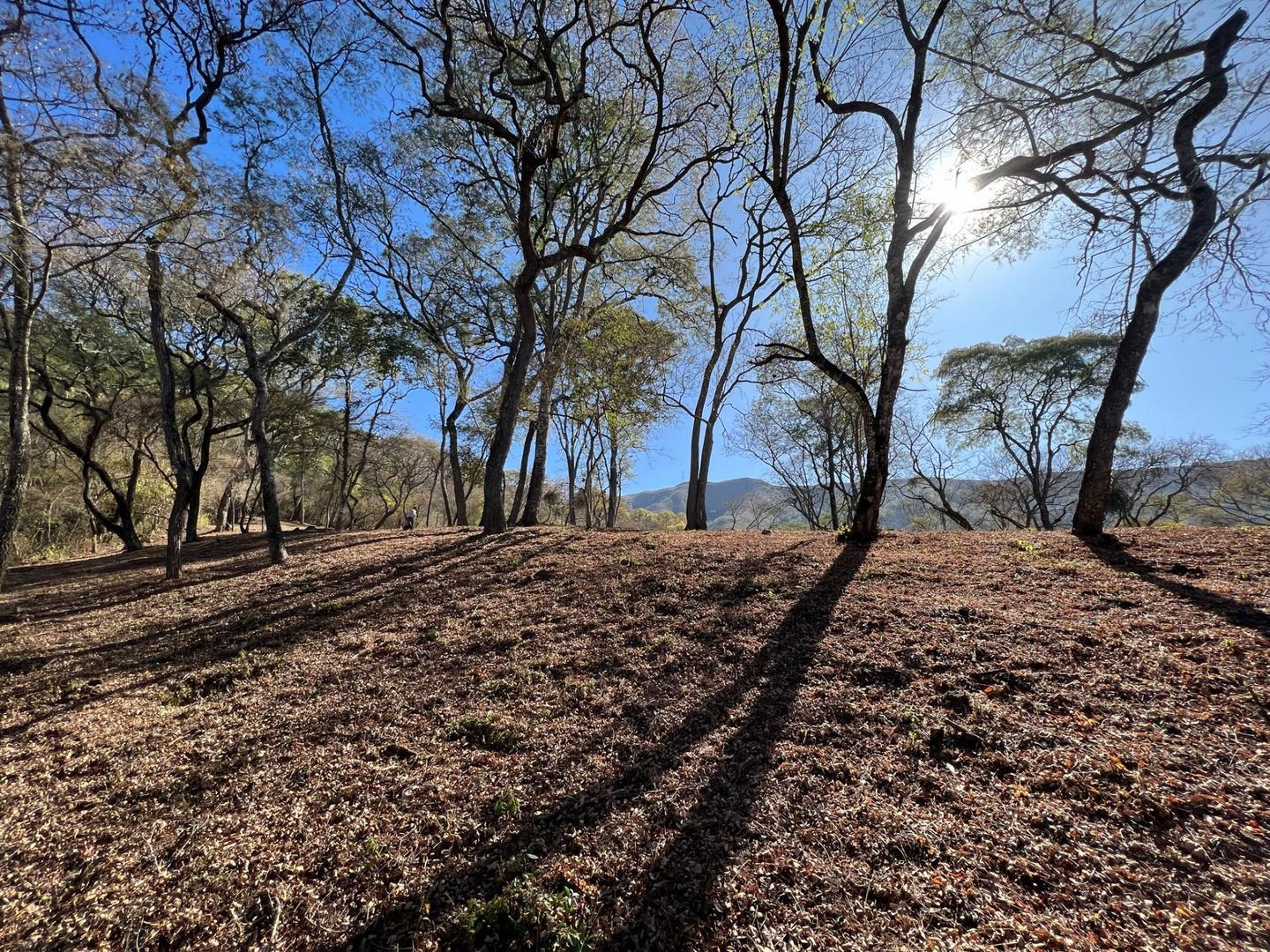 TERRENO EN LA MISION