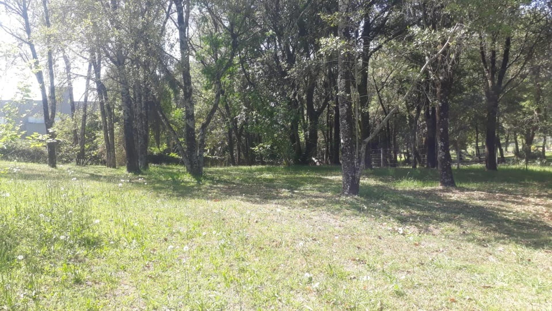 Terreno en Venta de 800,0 m2