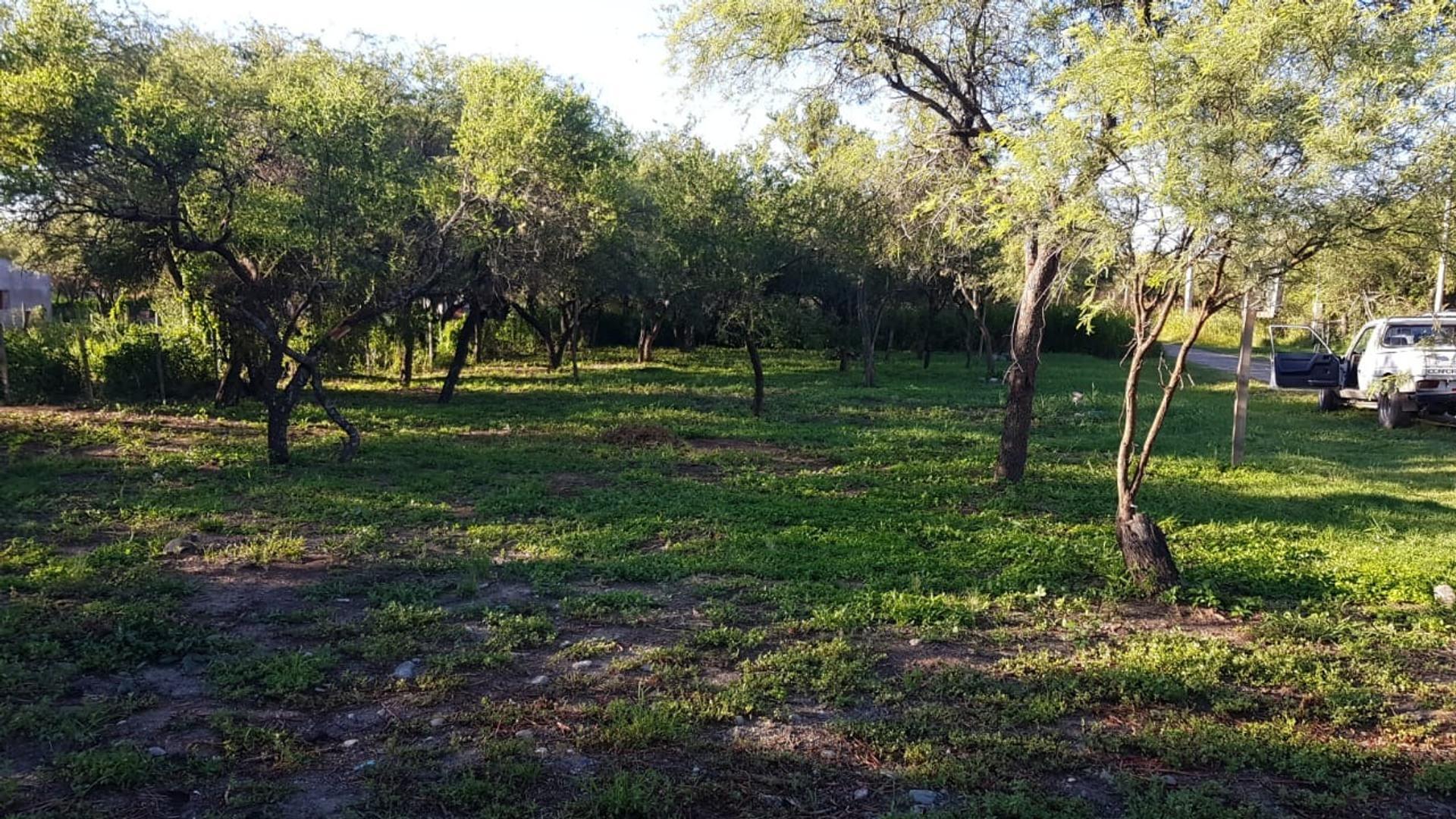 Terreno en Venta, FOT 40