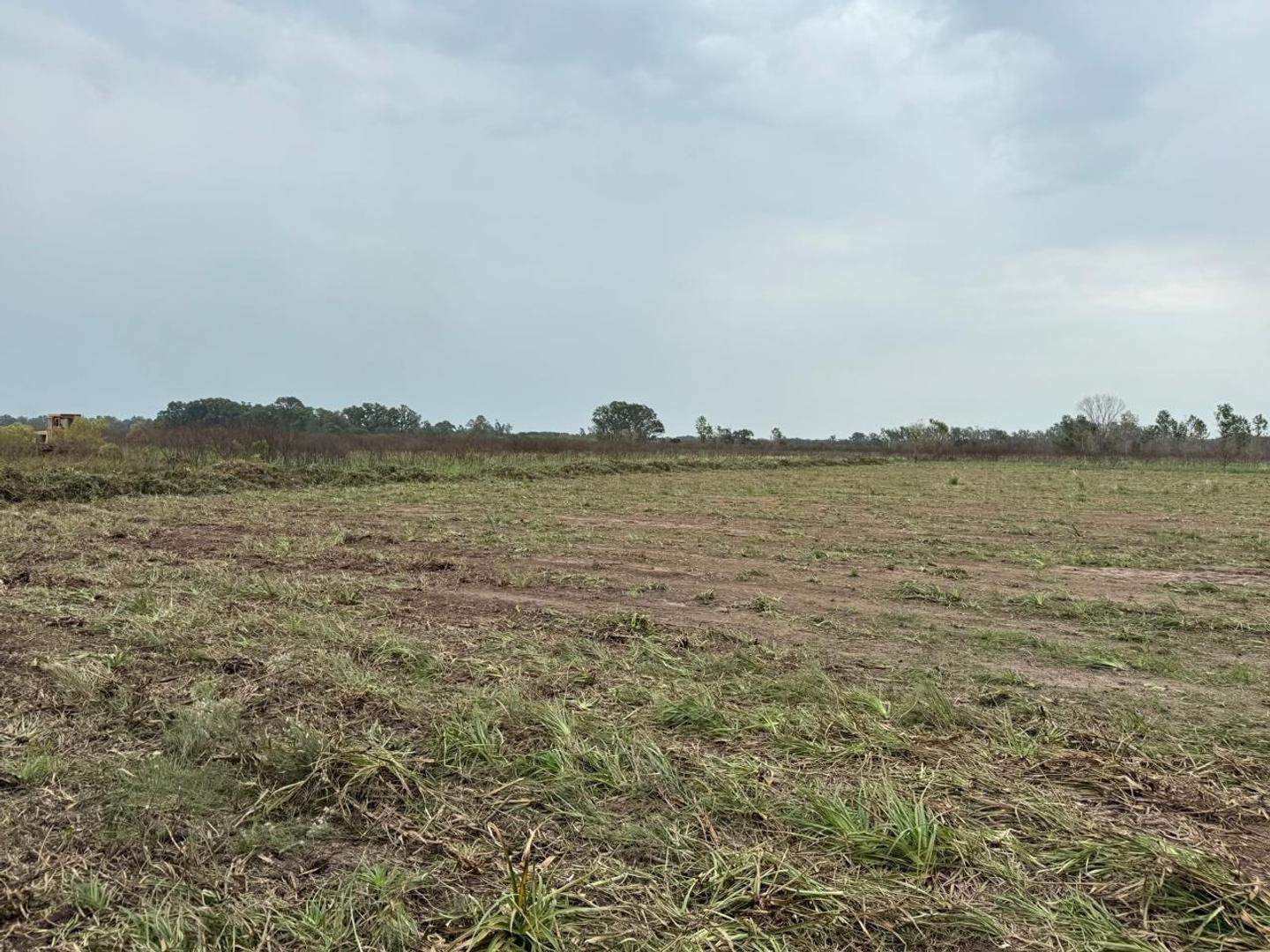 Terreno en Venta de 800,0 m2
