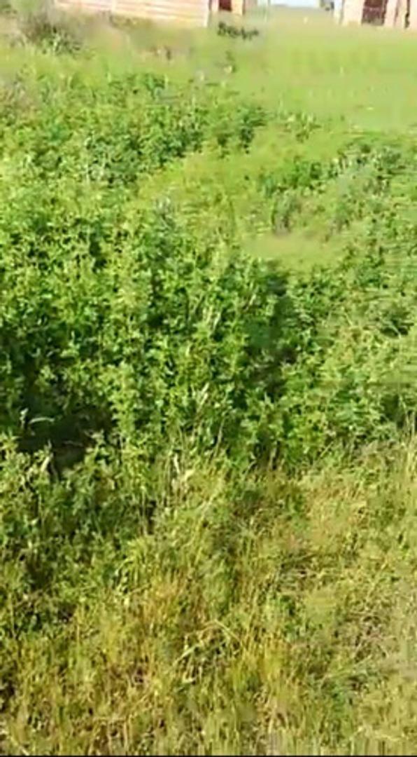 Terreno en Venta de 800,0 m2