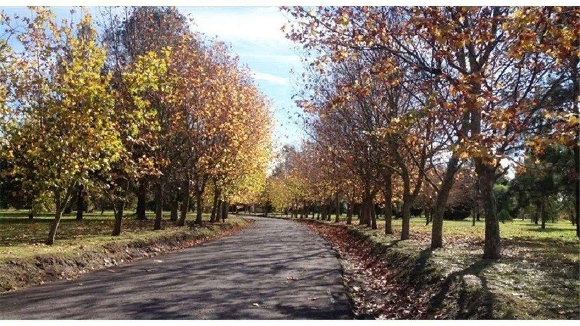 Terreno en Venta de 1472,0 m2