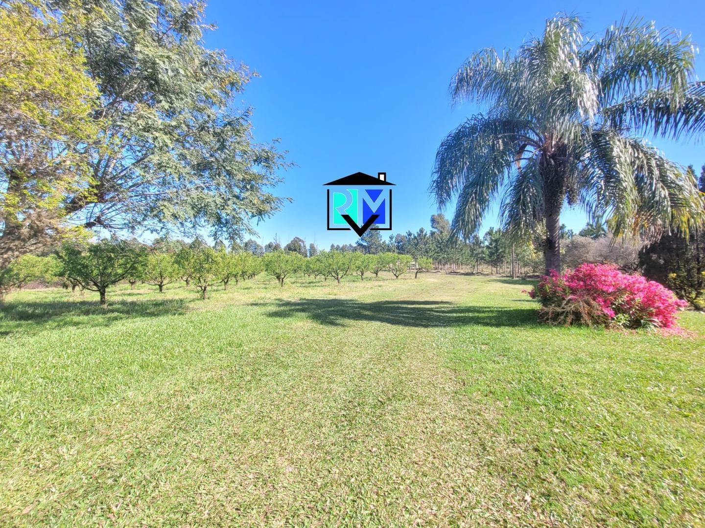 Virgen De Fátima 3500