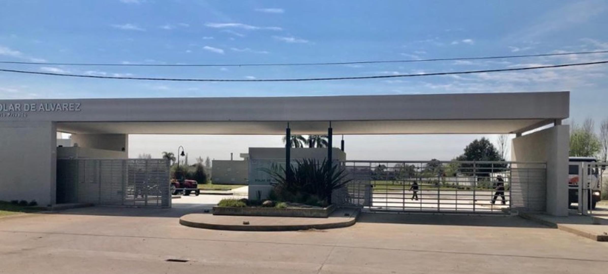 Carola Lorenzini 4600