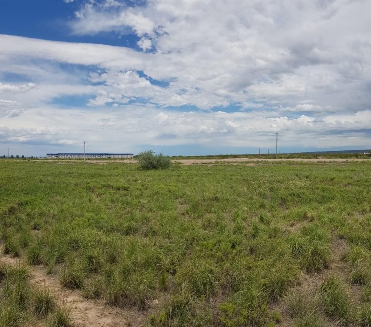 LOTE 2,3 HAS EN PERDRIEL, FRENTE SIMPLOT, RUTA 7.