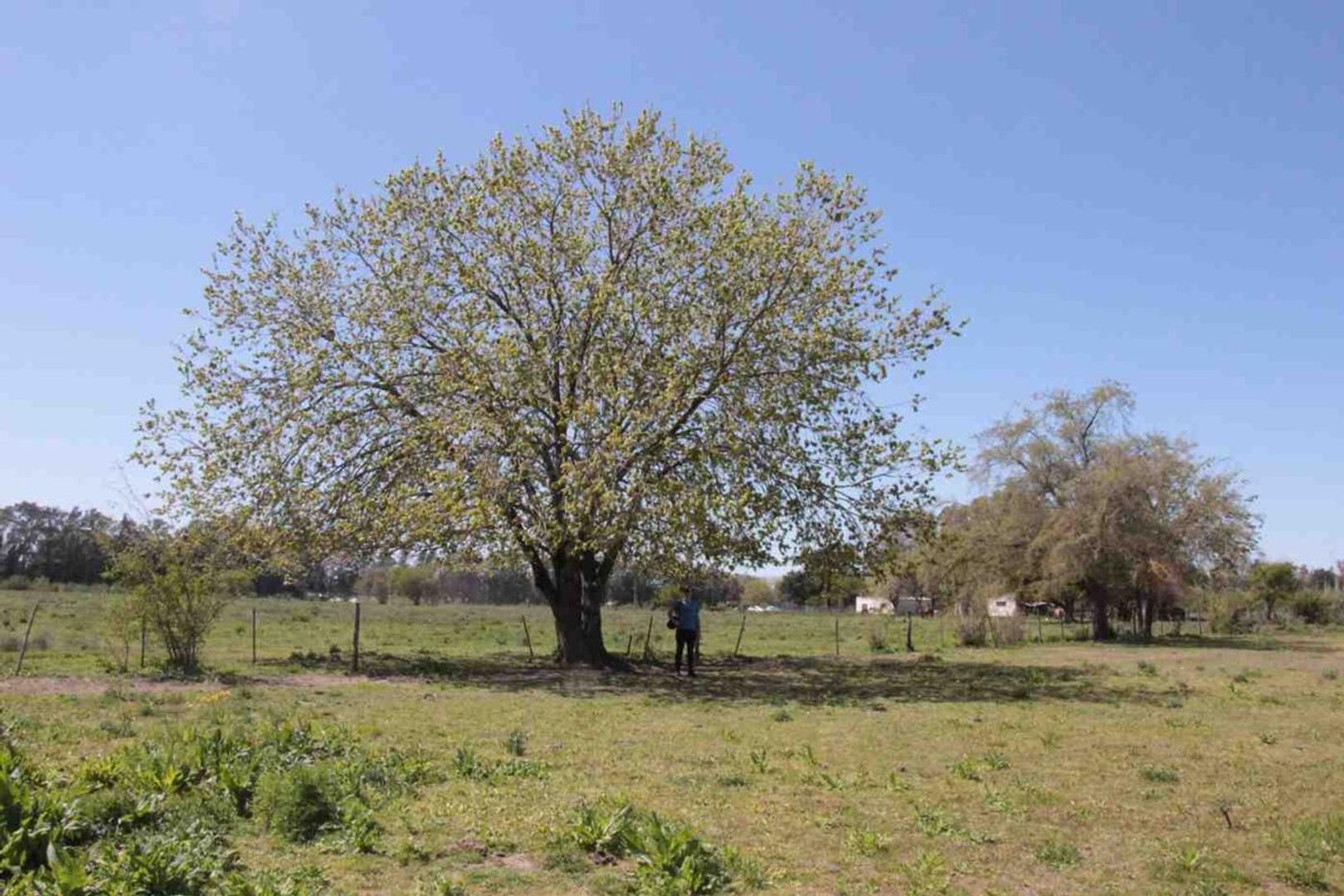 Terreno en Venta de 350000,0 m2