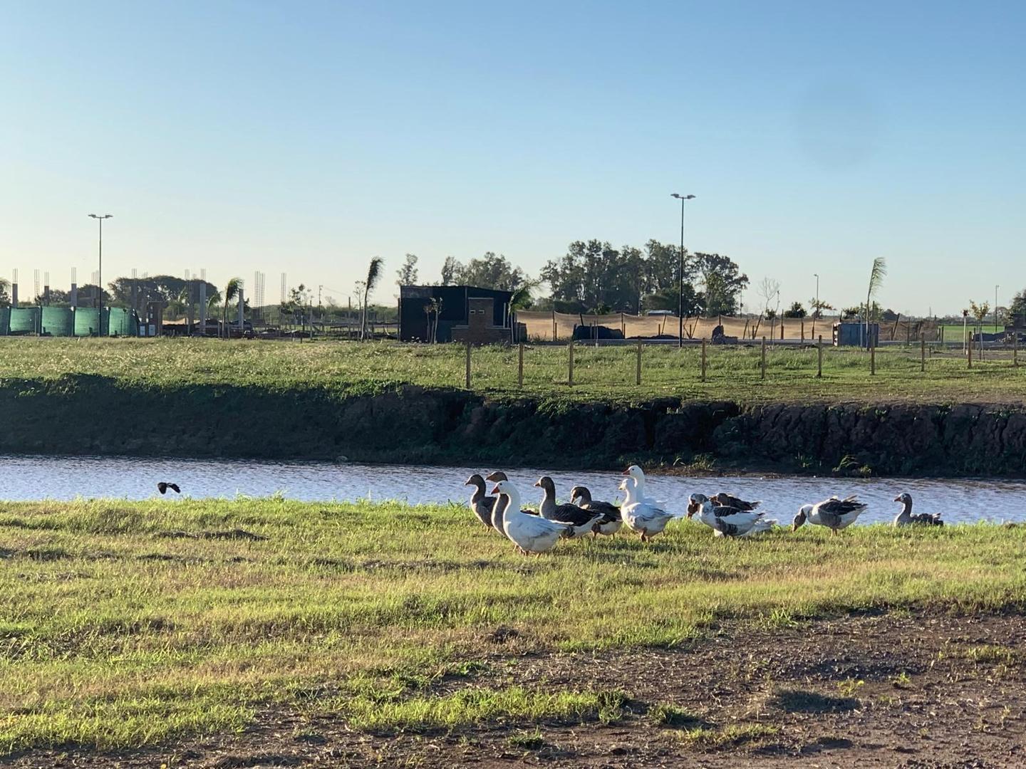 ESPECTACULAR TERRENO EN NUEVOS AIRES COUNTRY CLUB