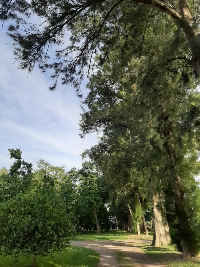 Terreno en Venta en La Arbolada, USD 52.000