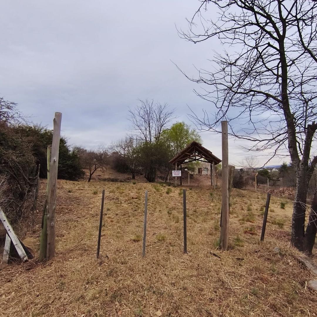 Teniente Guadagnini 400