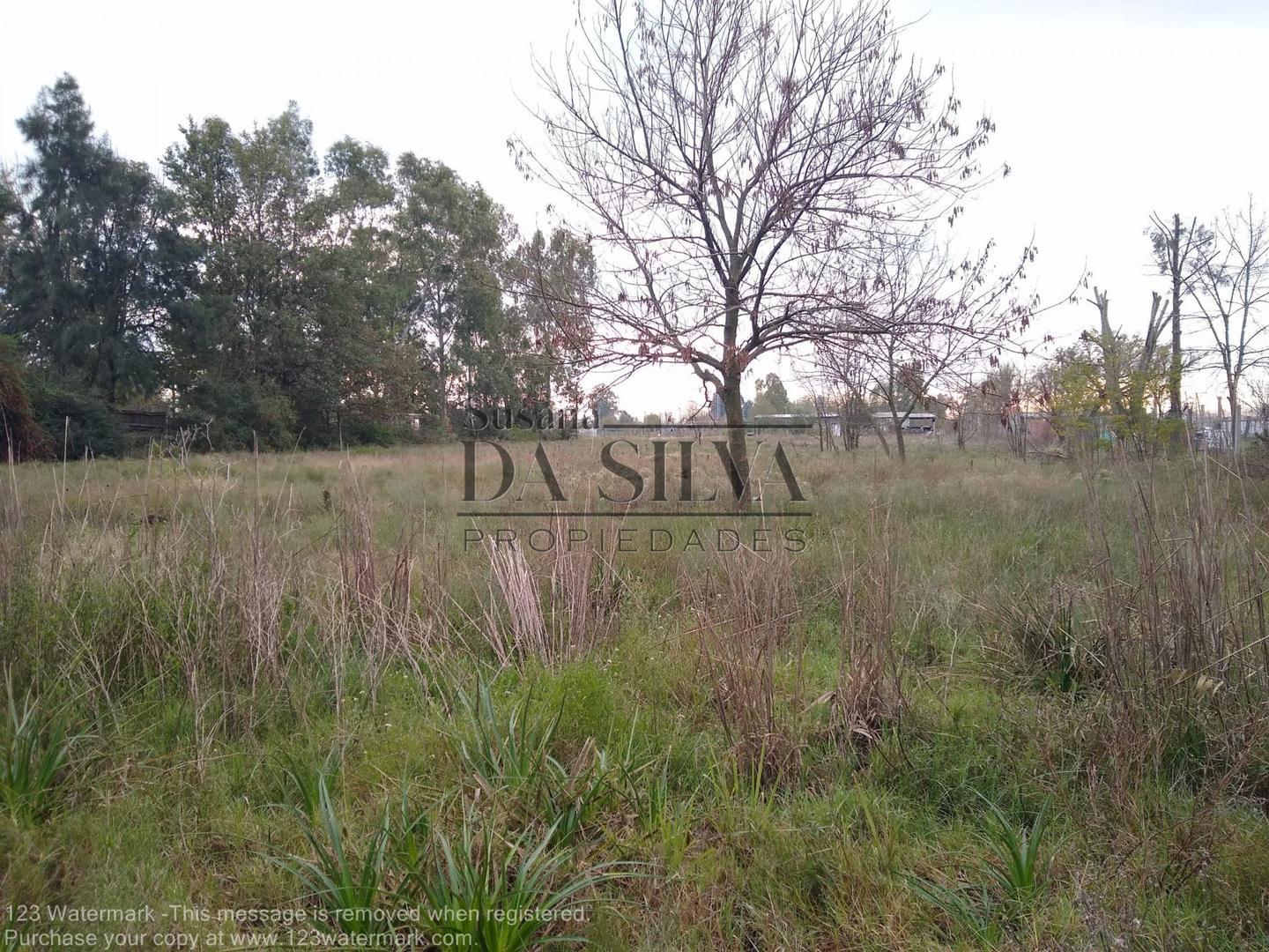 Terreno en Venta de 1635,0 m2