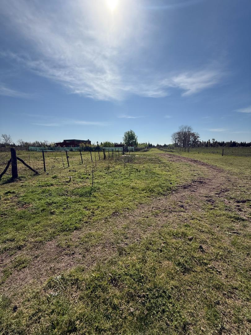 Terreno en Venta de 2000,0 m2