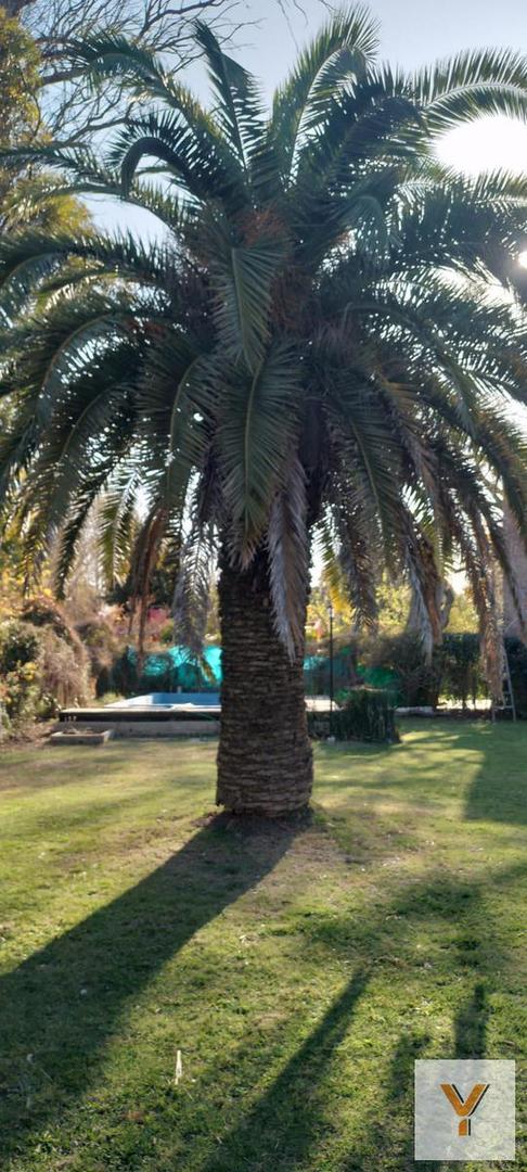 Casa en Venta al Este