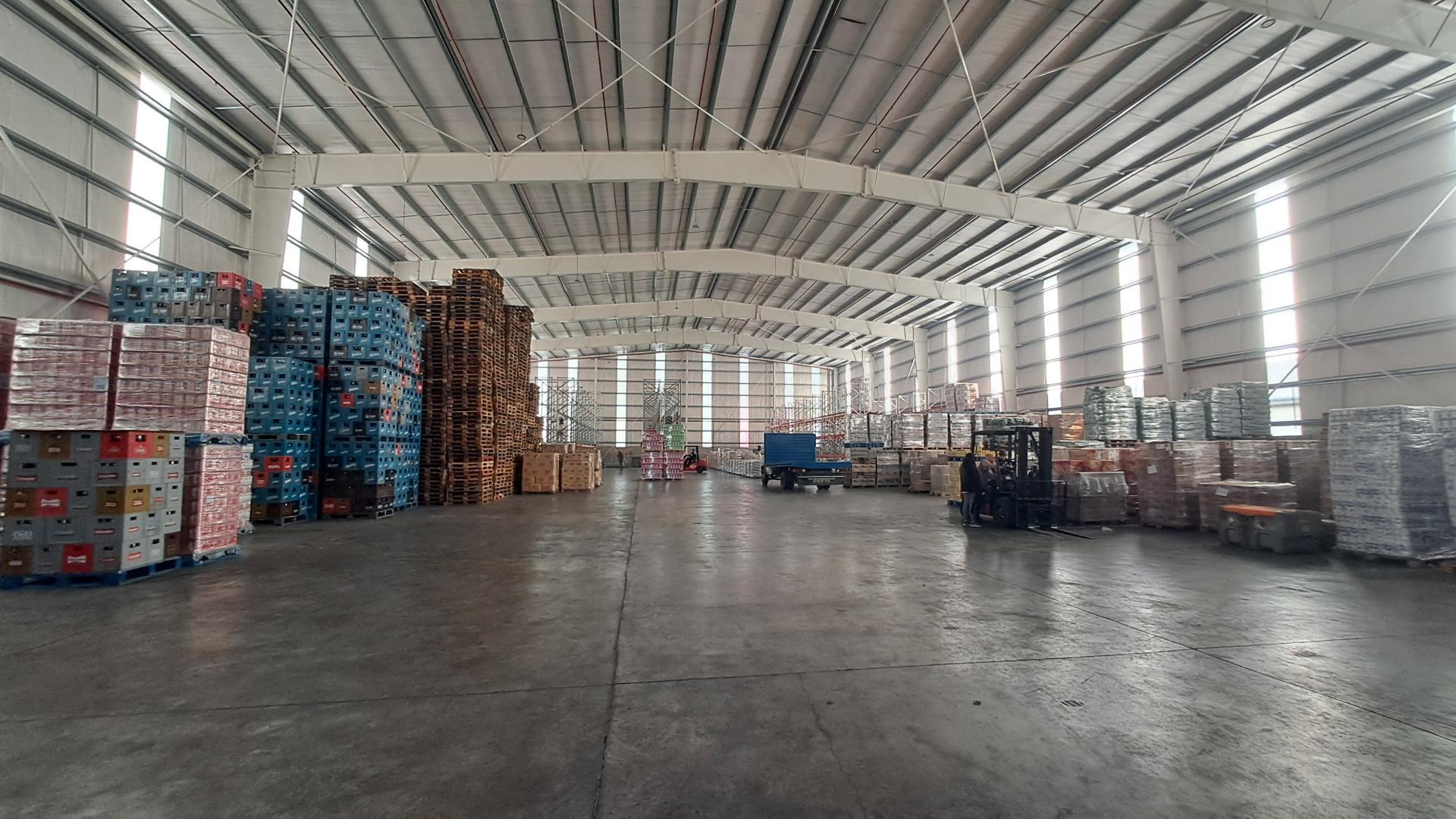 Martin De Gainza 801