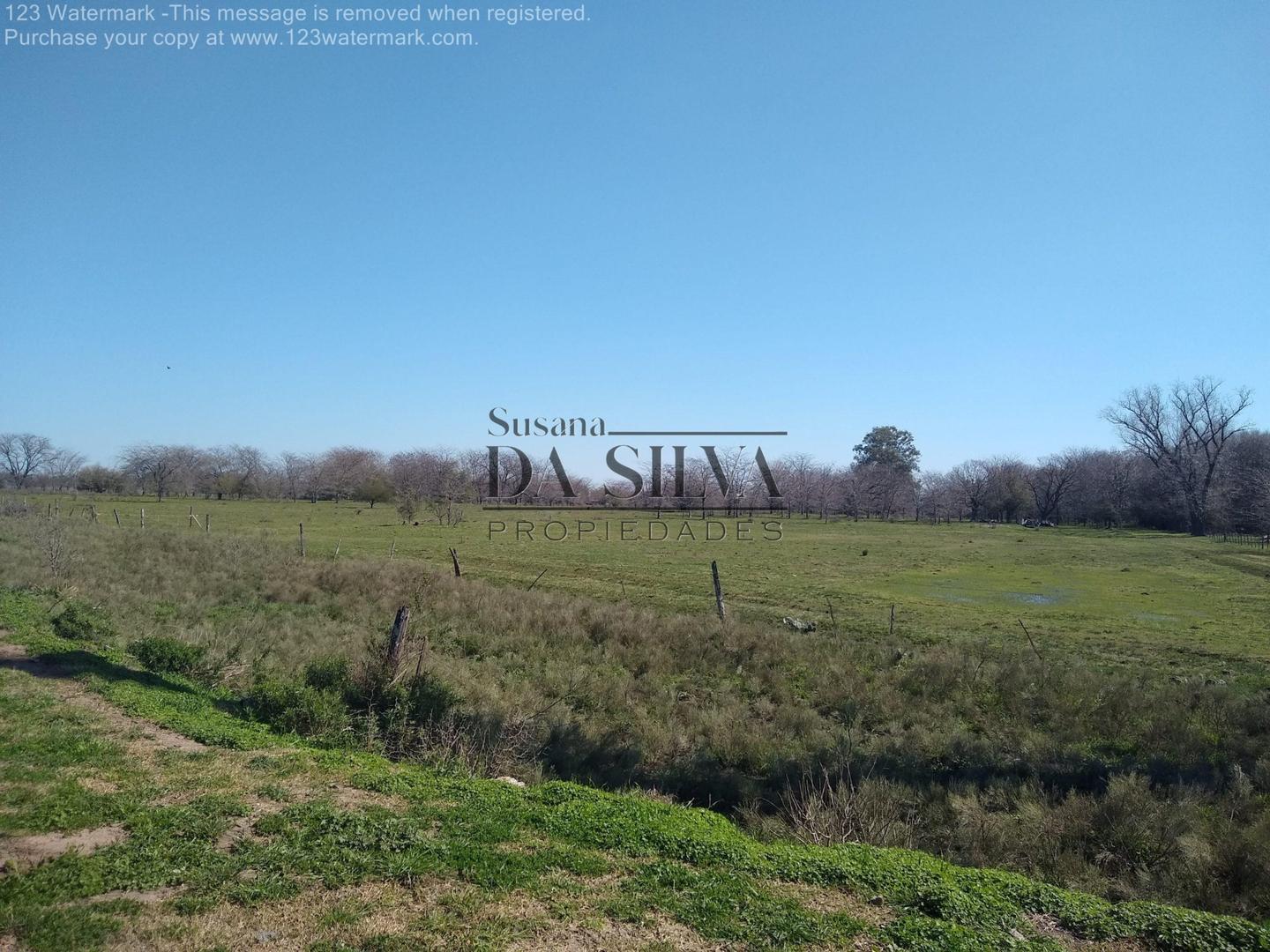 85Ha. Calle Libertad. Marcos Paz, Cercano al Centro y Ruta 6
