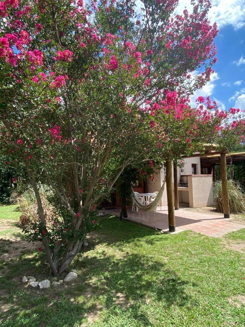 Hermoso complejo de cabañas en venta