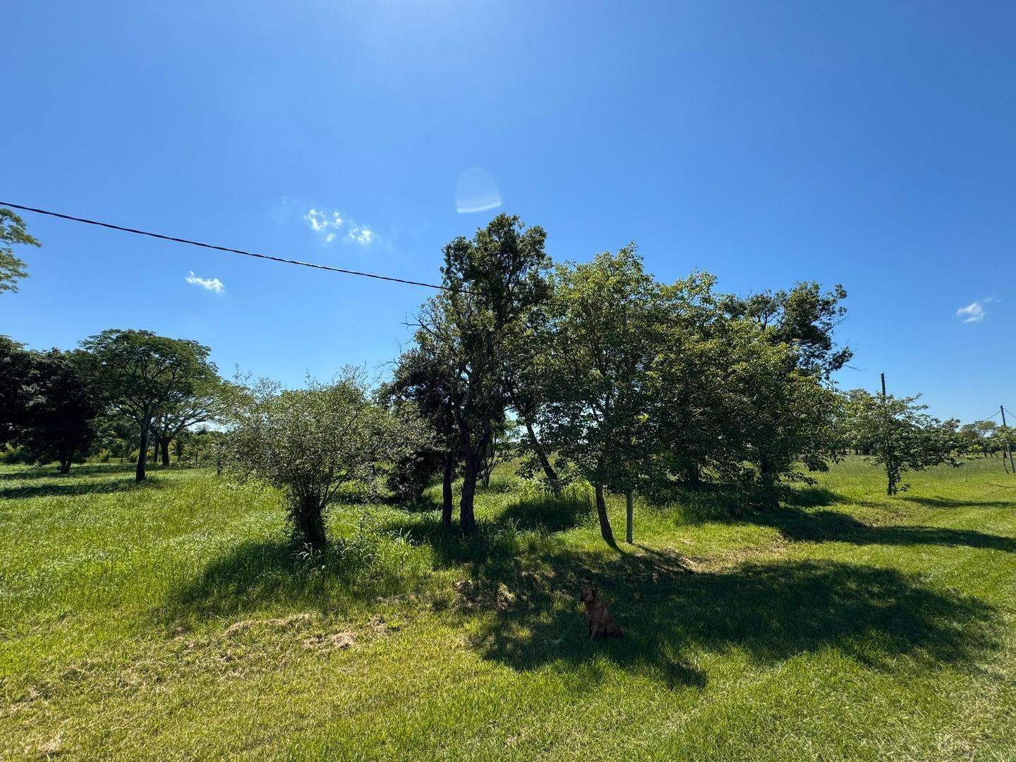 Terreno en Venta de 1200,0 m2