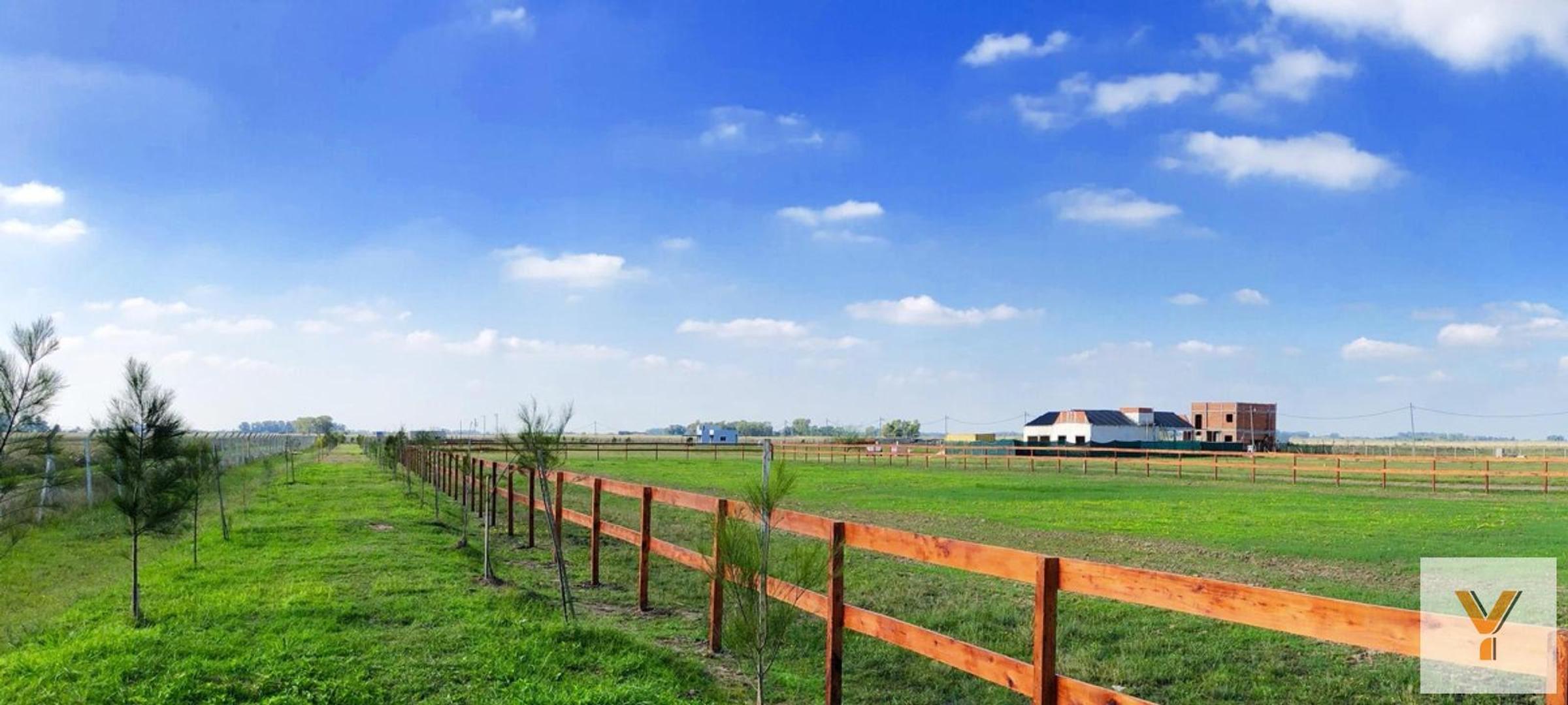 Campos De La Enriqueta