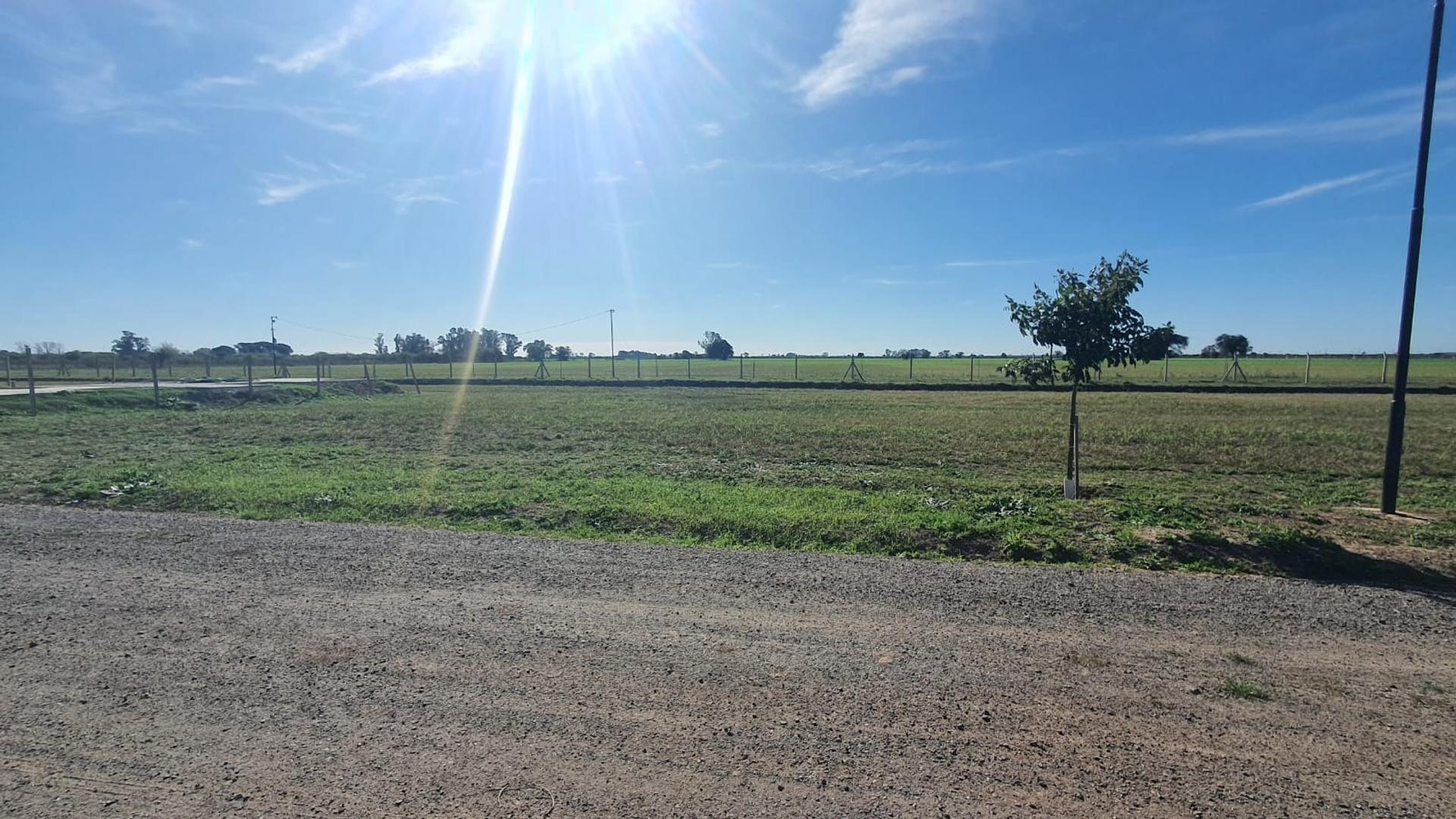 Terreno en Venta de 817,0 m2