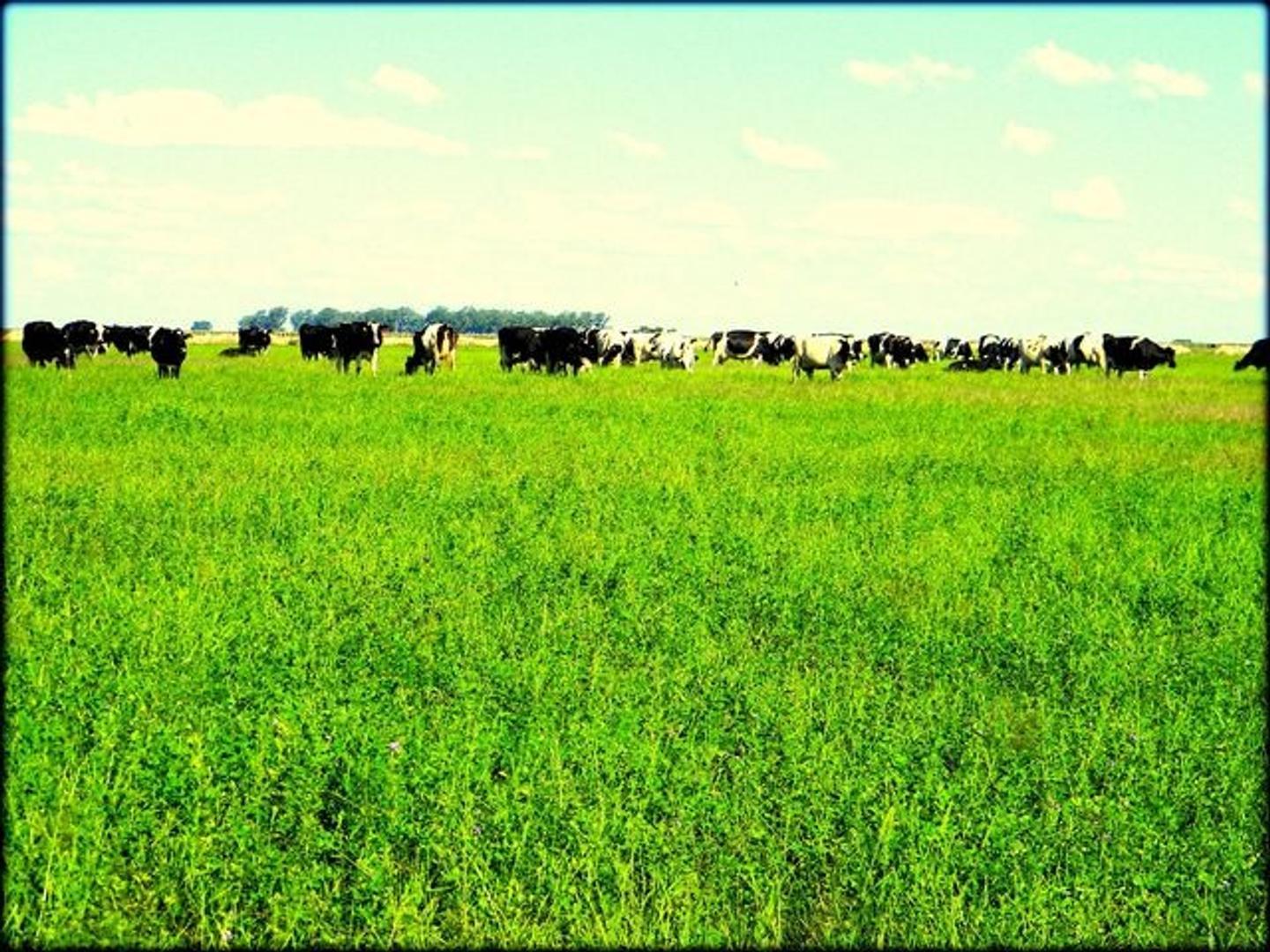 Zona Rural