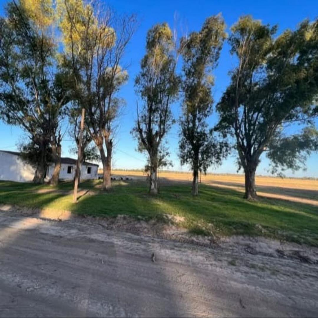 Terreno en Venta en Fincas Joven, USD 19.000