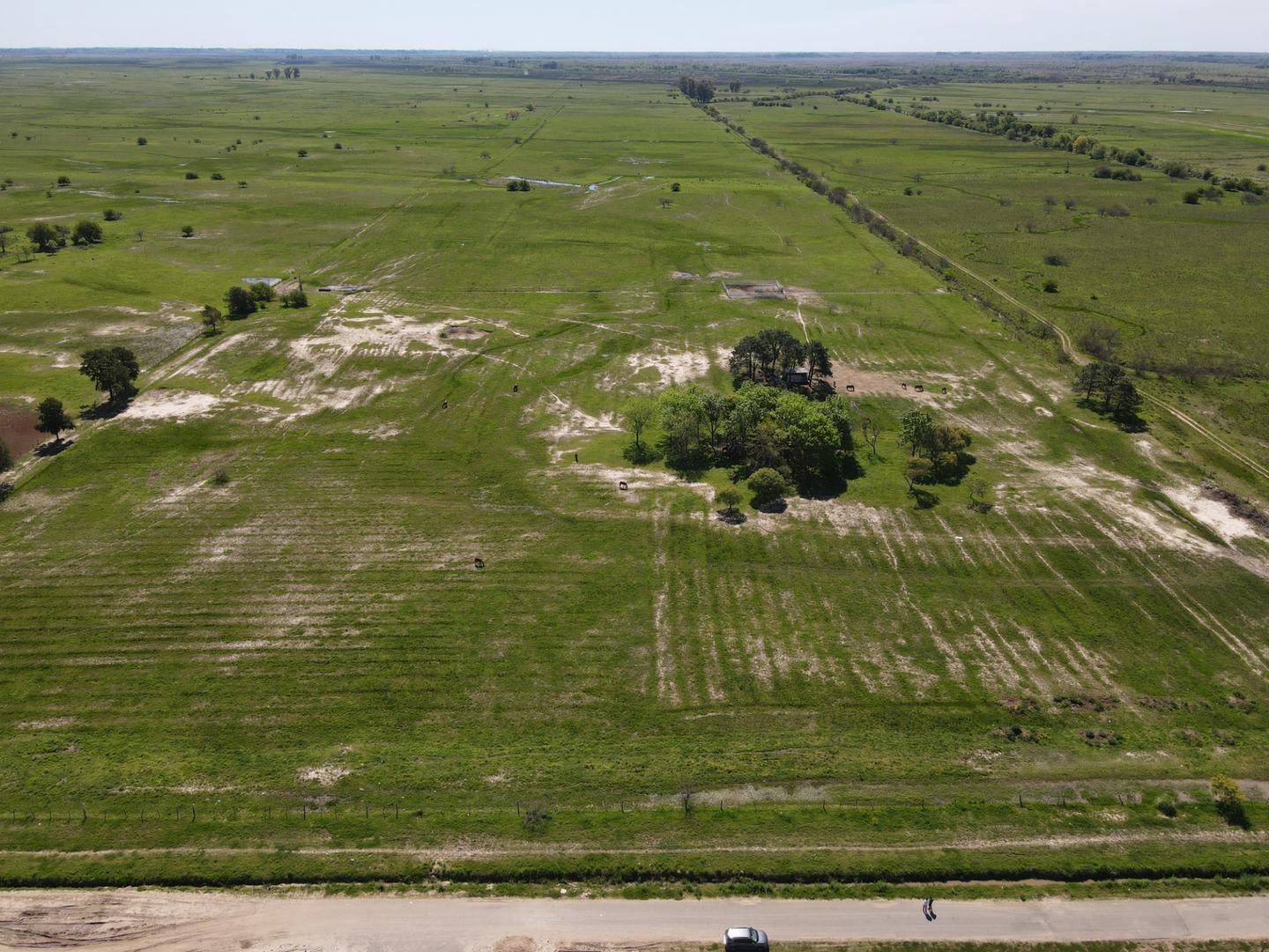 Venta Campo 100 hectáreas