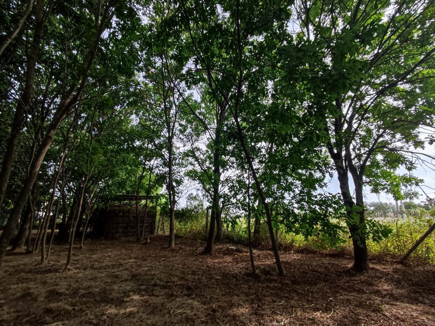 Terreno en Venta de 692,0 m2