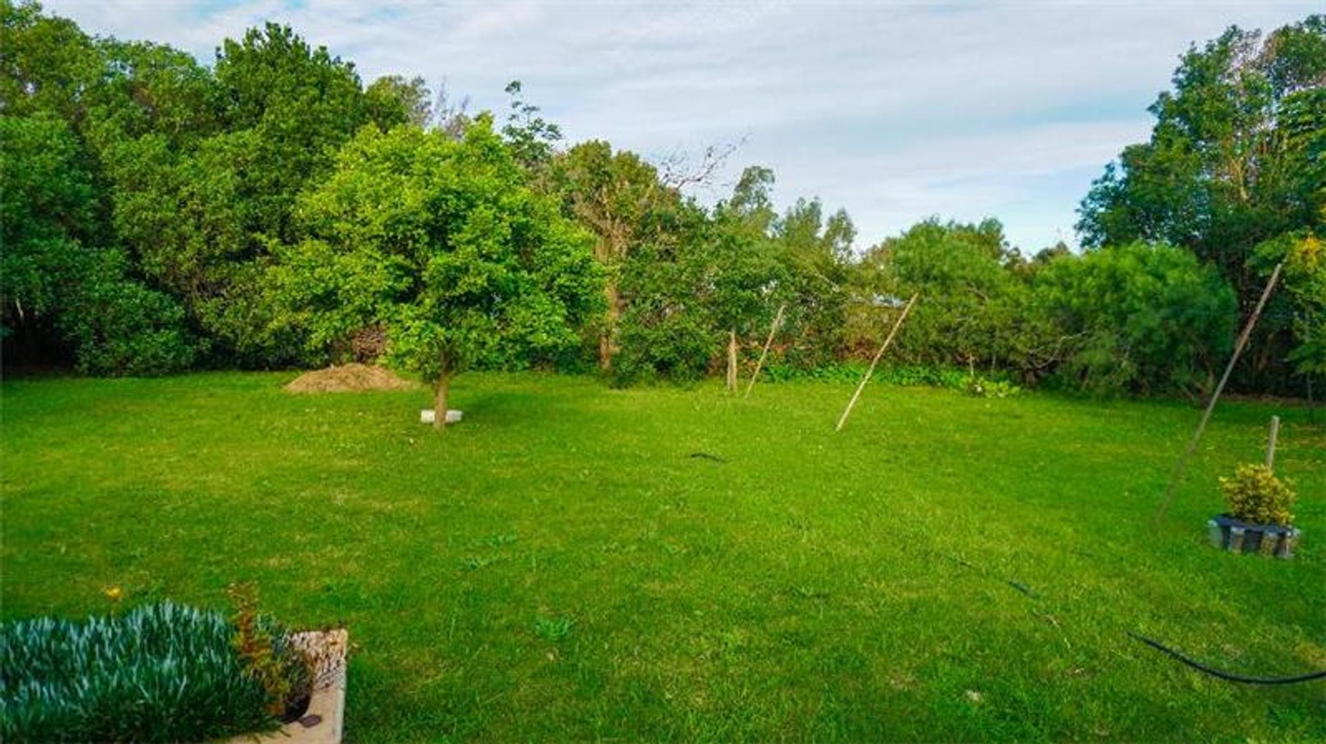 Atención inversores. Amplia superficie