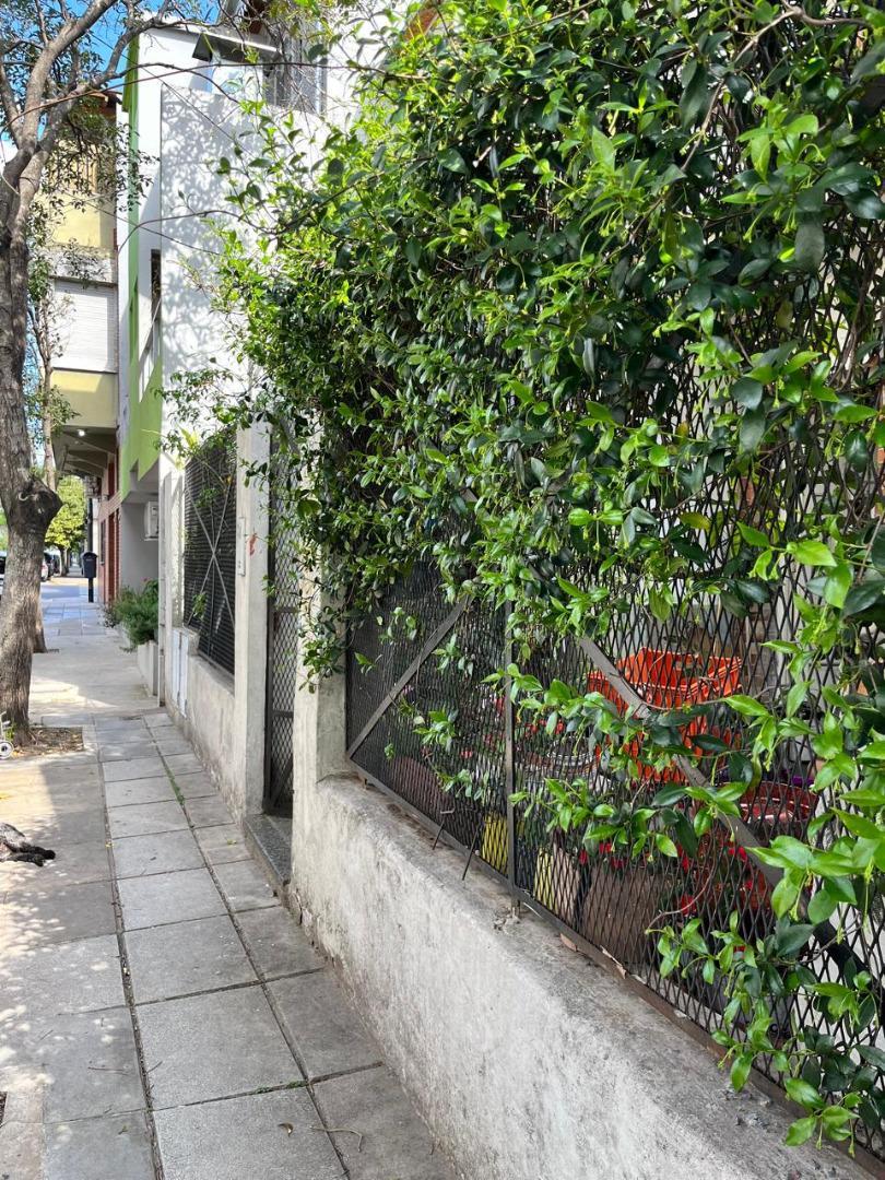 Venta Lote ó Casa 8,66x19,58, Saavedra Ideal emprendimiento