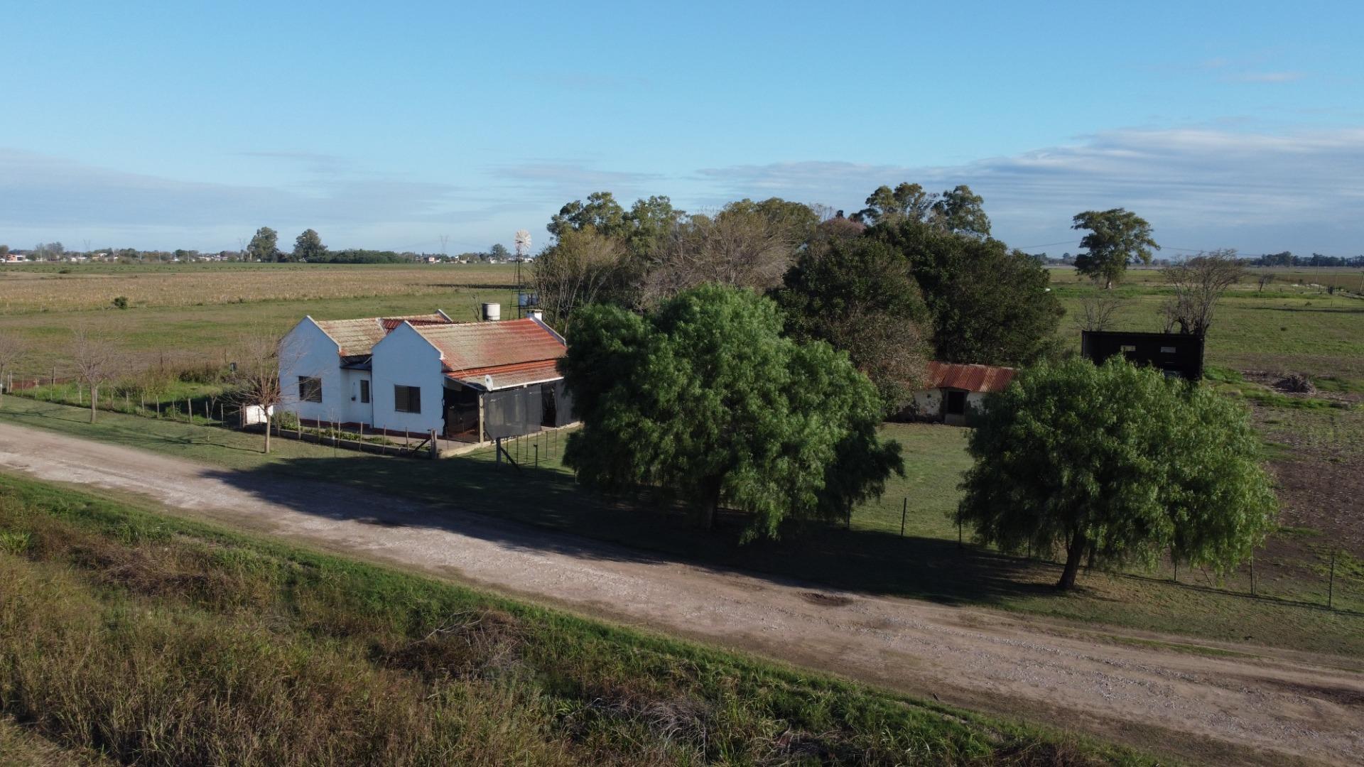 4 Hectareas con Casa de Campo